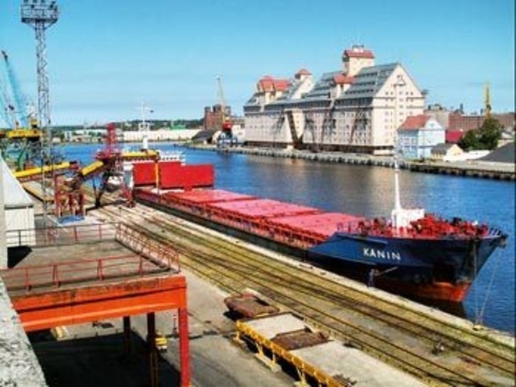 Калининградские бизнесмены рассказали о росте объема морских перевозок в регионе