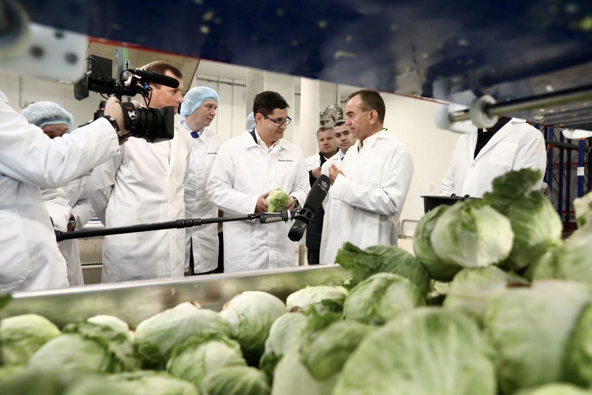 Губернатор Кубани побывал на предприятиях пищевой переработки в Брюховецком районе