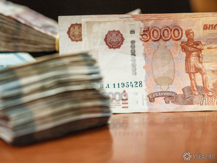 Пара из Кемерова поверила во взлом госпортала и получила трехмиллионный долг