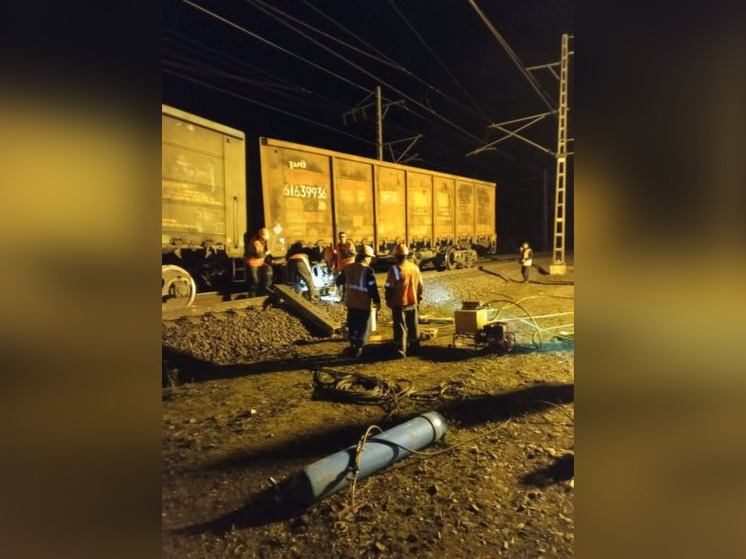 В Башкирии на путях восстановили движение после столкновения поезда с лосем