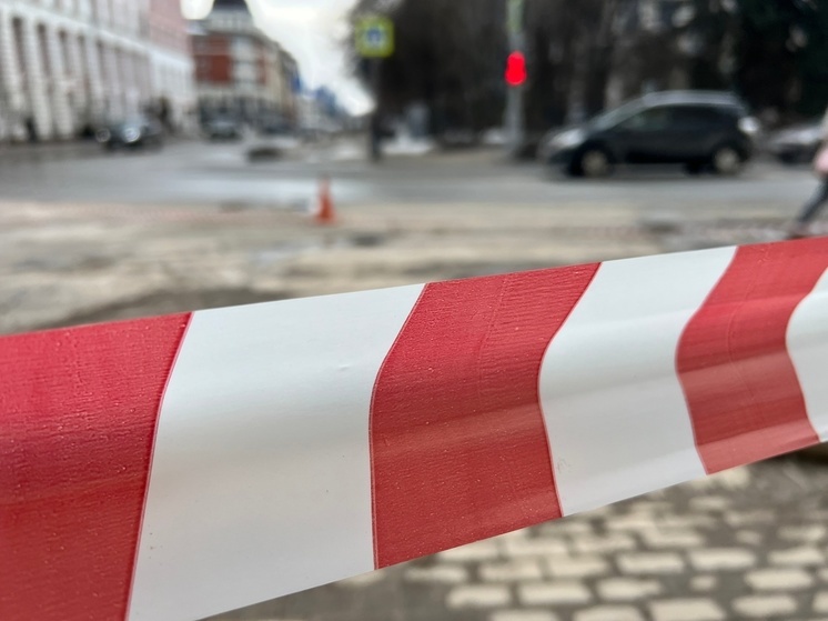 В Калининском округе под Тверью объявили карантин по бешенству: что известно