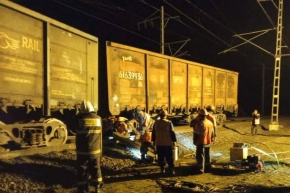 Из-за сбитого лося в Башкирии опрокинулось два вагона и задержали астраханский поезд