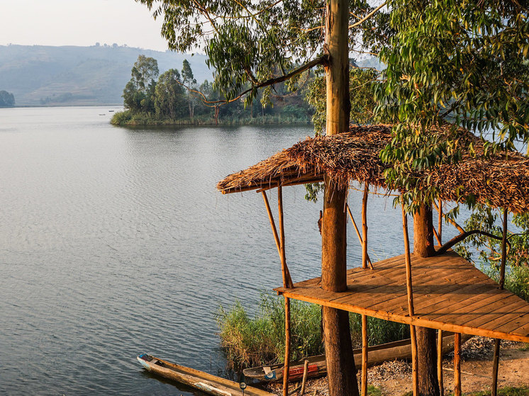 Два туриста и гид погибли на сафари в результате нападения в Уганде