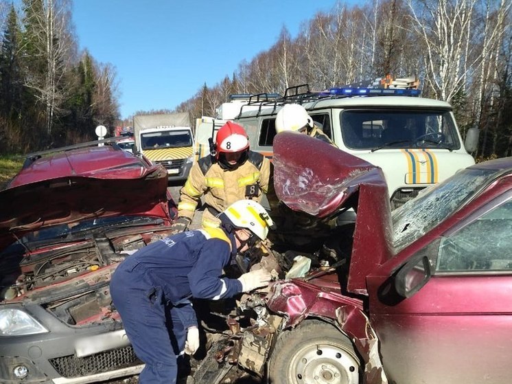 Спасатели заявили о пяти пострадавших в ДТП на трассе М-5 в Челябинской области