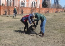 В краевой столице 19 октября пройдет очередной в 2023 году «чистый четверг». Администрации районов Барнаула задействует в мероприятиях по санитарной очистке свыше 12 500 человек.