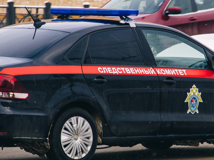 СК начал проверку по факту гибели 51-летнего мужчины на пожаре в Скопине