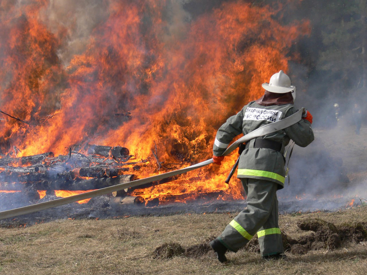 Новгородские парламентарии вступились за региональных пожарных