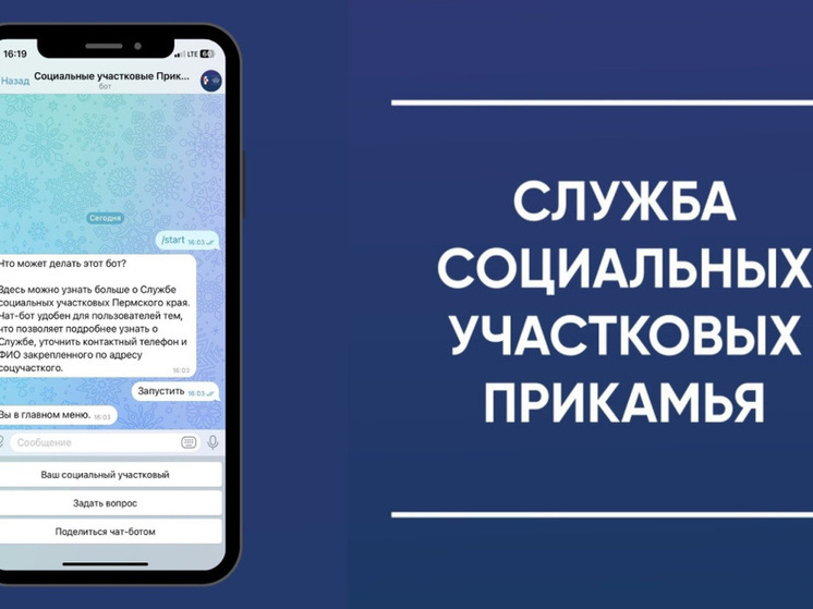 В Пермском крае запустили чат-бот Службы социальных участковых