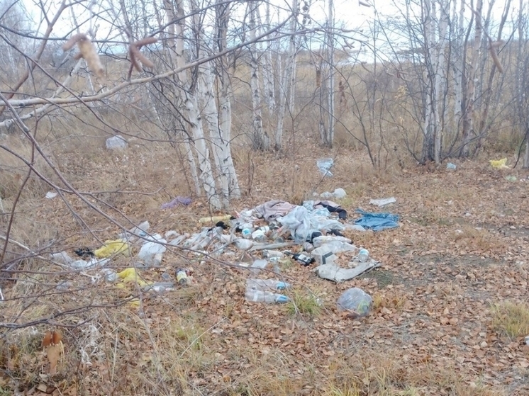 Более 50 кубометров мусора убрали с берегов Ивано-Арахлейских озер под Читой