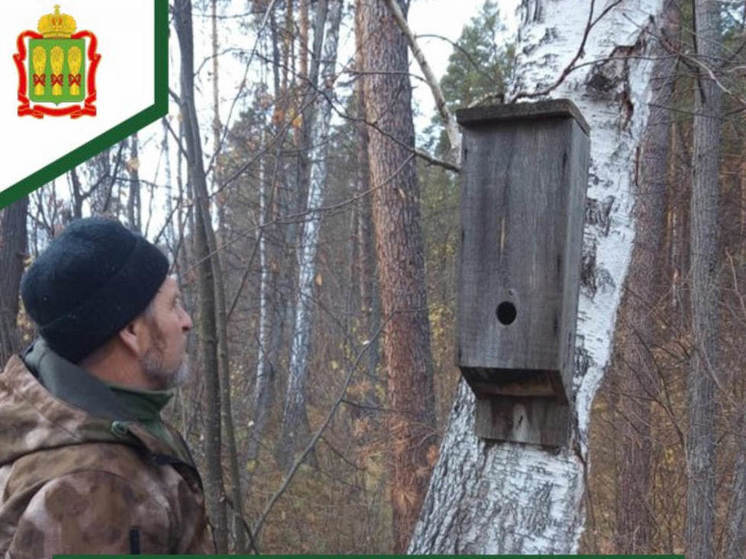 В Пензенской области осмотрели домики для летучих мышей