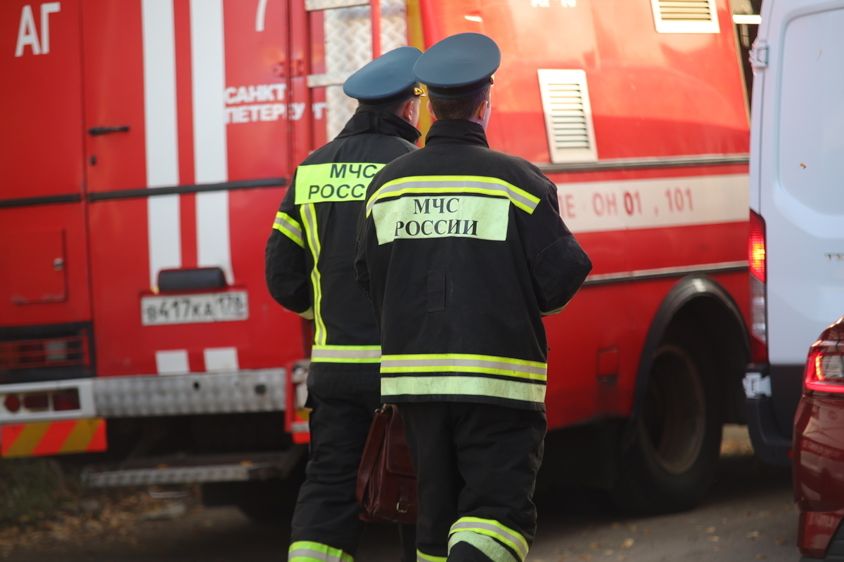 В Петербурге спасатели потушили пожар на кухне дома на Рябовском шоссе