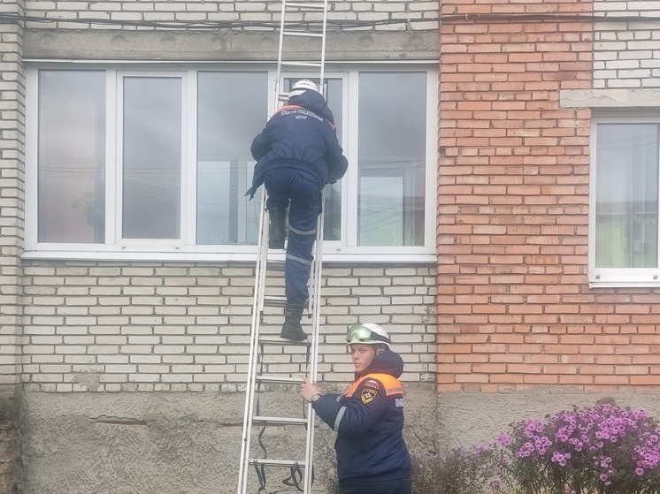 Пензенские спасатели помогли запертой на балконе бабушке попасть домой