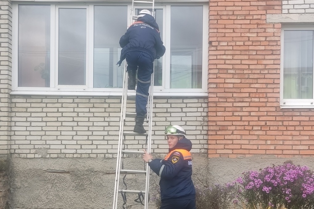 Пензенские спасатели помогли запертой на балконе бабушке попасть домой