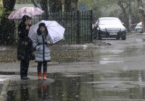 Москва готовится к зиме: до конца текущей недели будут низкие свинцовые облака и много осадков – дождь и мокрый снег