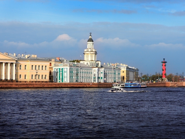 Научно-хранительский центр Кунсткамеры планируют достроить в 2024 году