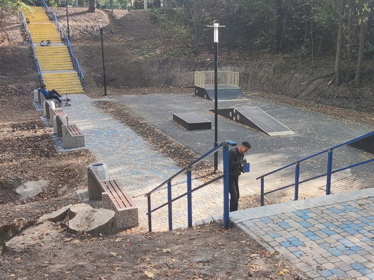 В Курске благоустроили лесопарковую зону на проспекте Клыкова