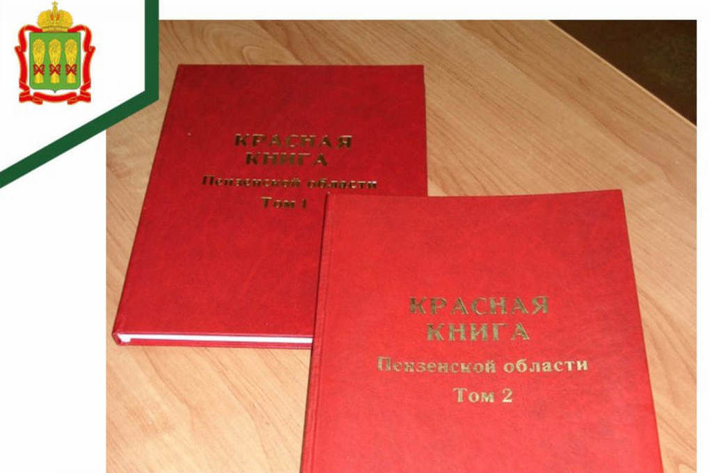 Красную книгу Пензенской области переиздадут в 2024 году