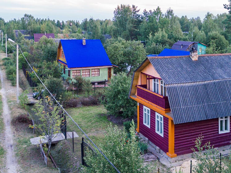 Лидер движения "Народный сад" обрисовал проблемы