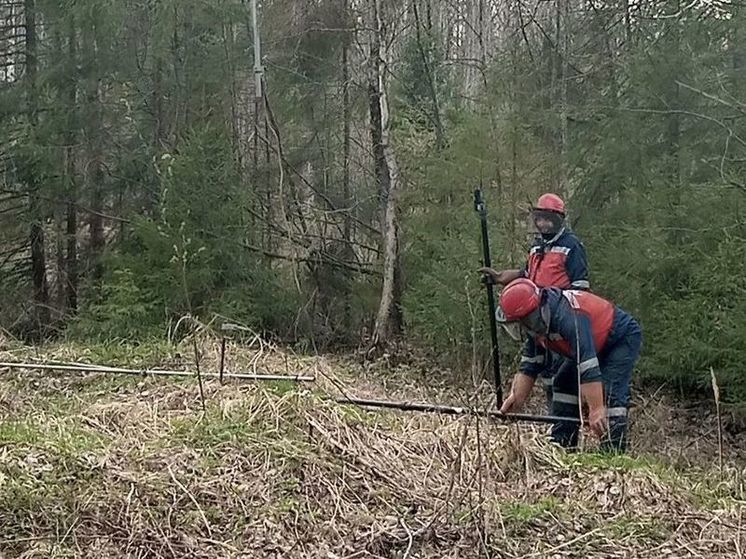 Энергетики филиала «Кировэнерго» устранили вызванные непогодой нарушения в основной сети 6-10 кВ