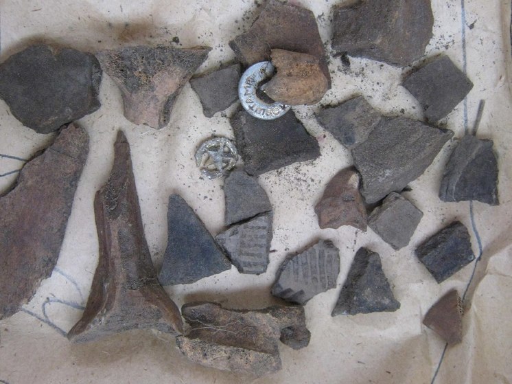 На Архимандритской заимке в Северске откопали загадочный сруб