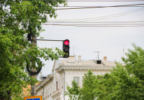 В Чите на пешеходном переходе возле Дома офицеров может появиться светофор с кнопкой вызова
