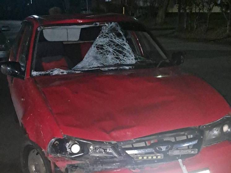Ослеплённый фарами водитель Daewoo Nexia насмерть сбил двух пешеходов на трассе в Омской области