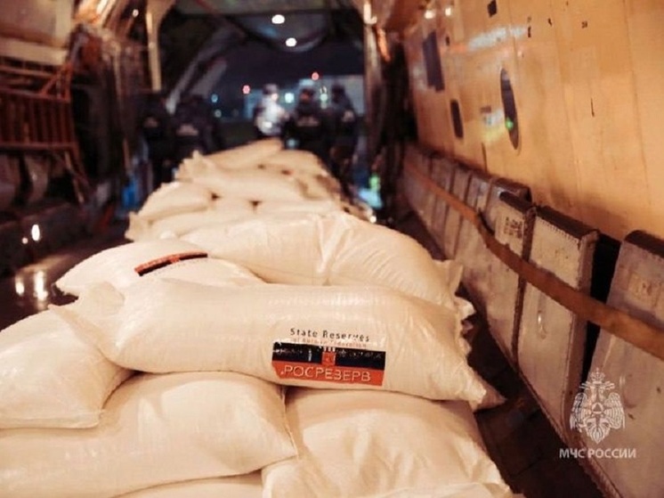 МЧС России доставит в сектор Газа 27 тонн гуманитарного груза