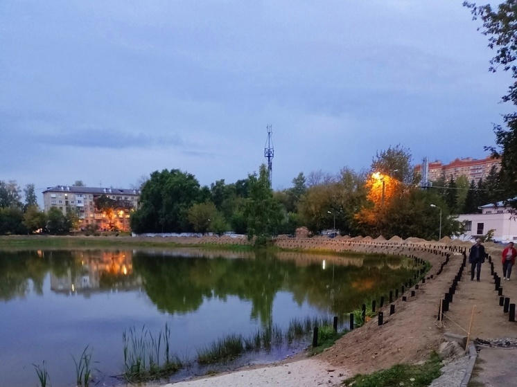 Благоустройство пляжной зоны пруда в Дмитрове приостановлено