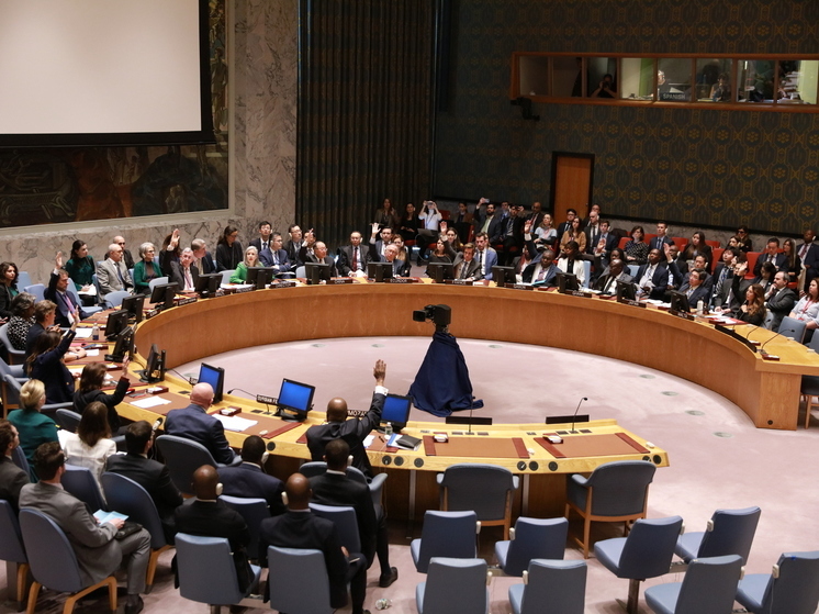 Дипломаты ООН демонстративно отвернулись во время выступления посла США