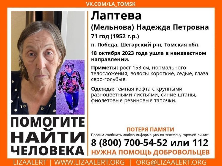 "ЛизаАлерт" Томск: поиск Надежды Лаптевой продолжается, нужны записи с видеорегистраторов