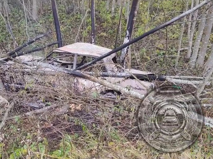 На трассе в Батецком районе погиб водитель загоревшегося в кювете автомобиля