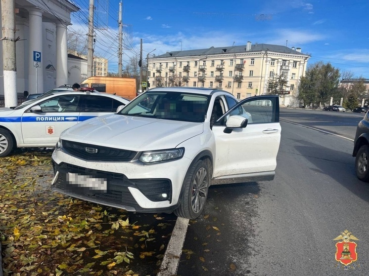 С начала октября в Тверской области 192 водителя попрощались с тонировкой