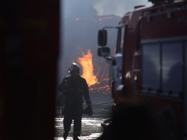 В Хвойнинском округе при пожаре в частном доме погиб человек