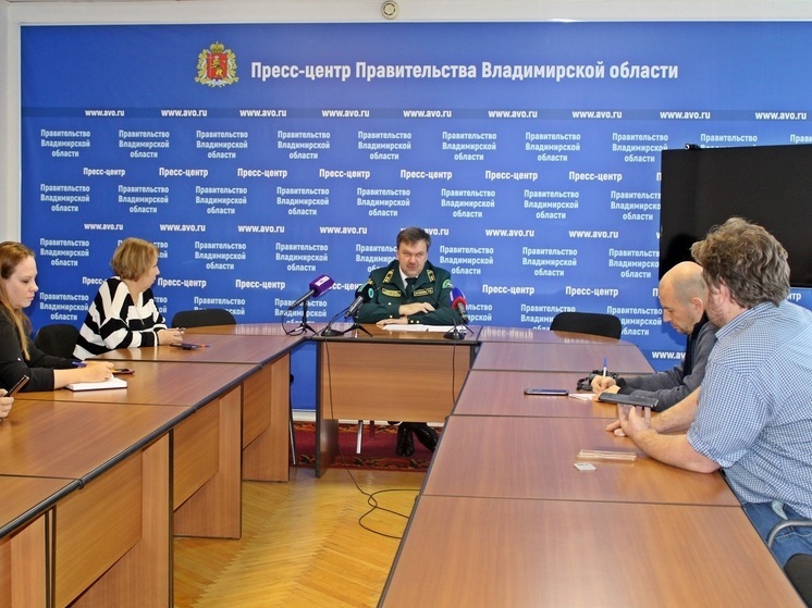 Во Владимирской области восстановлено на 6,4 тыс. гектаров лесов