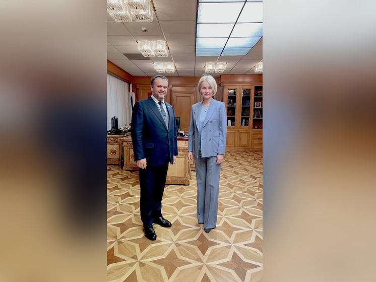 Андрей Никитин обсудил с вице-премьером Викторией Абрамченко лесную отрасль