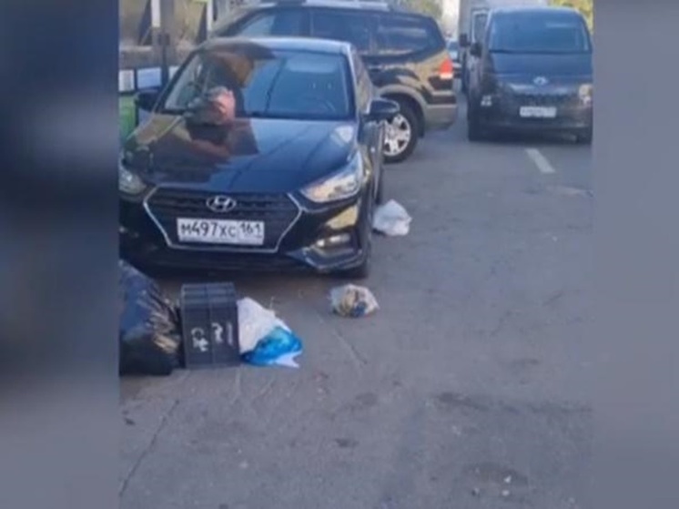 В Ростове автохама наказали за неправильную парковку