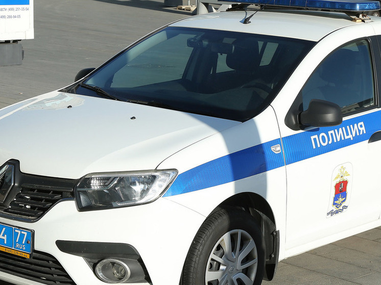 В Подмосковье группа подростков занималась вандализмом