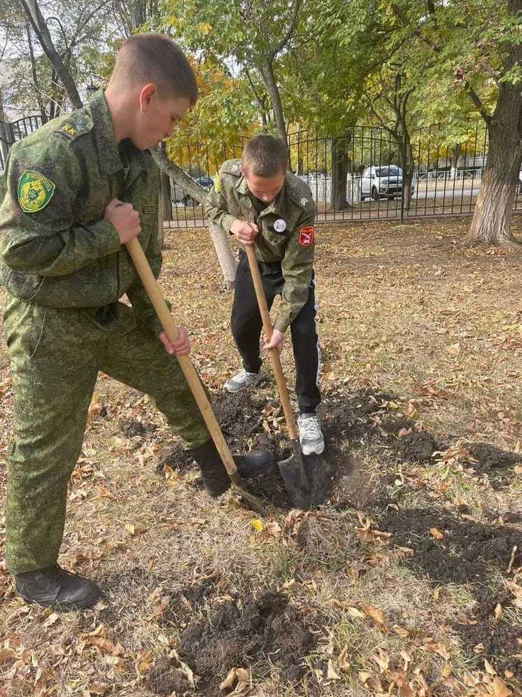 В Невинномысске в рамках эко-акции высадили более 100 деревьев