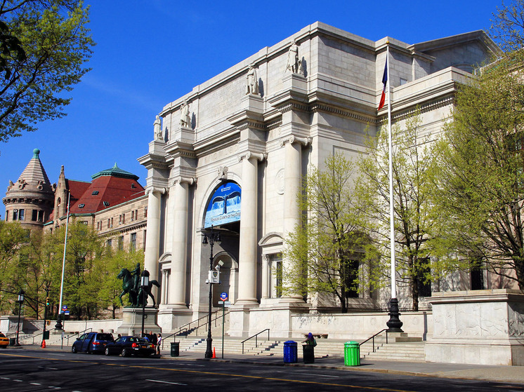 В Нью-Йорке музей естественной истории репатриирует незаконные останки