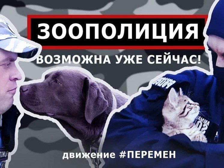 Орловцы «за» законопроект о создании в России зоополиции