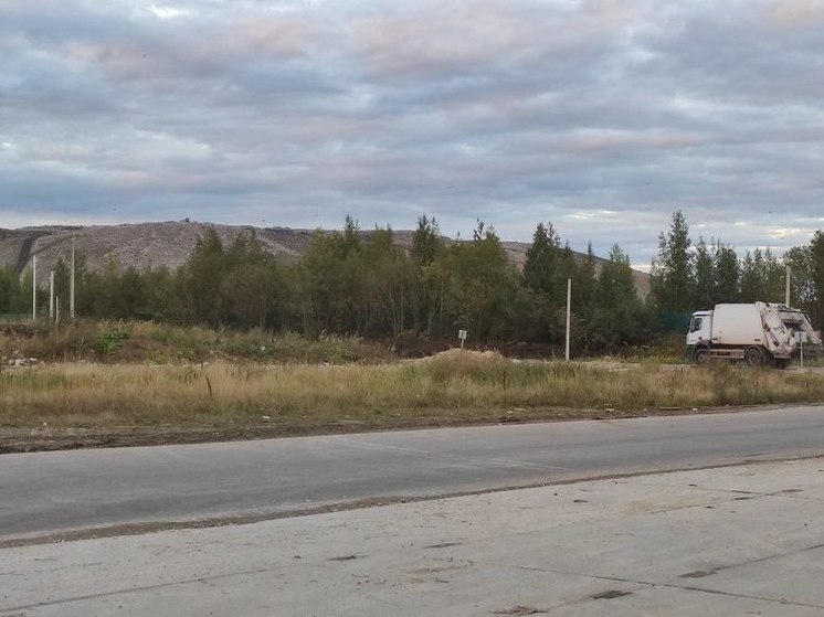 В СНТ «Ветвузовец» в Киришском районе убрали крупную нелегальную свалку