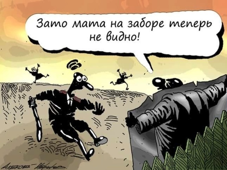 10 анекдотов про газон