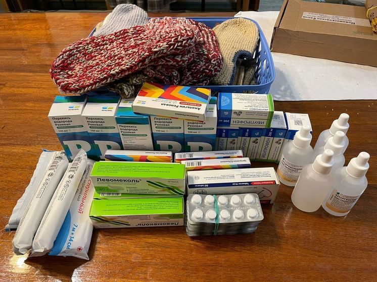 Хабаровчане собрали лекарства для приюта