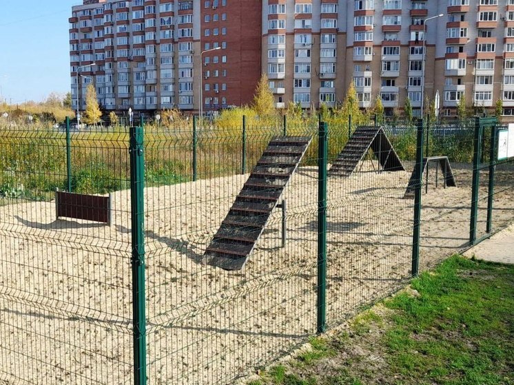 В Тюмени построили новую площадку для выгула собак