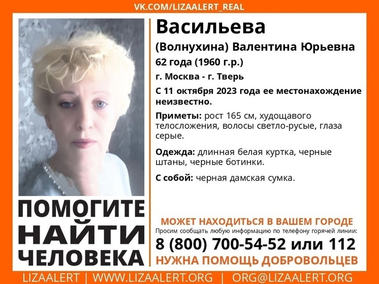 В Московской и Тверской областях ищут пропавшую женщину