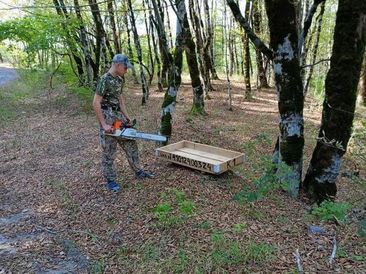 В зоозаказнике «Белореченский» организовали прикормку лани европейской