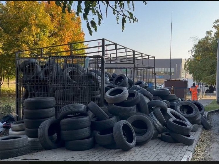 Белгородским водителям рассказали, куда они могут сдать старые покрышки