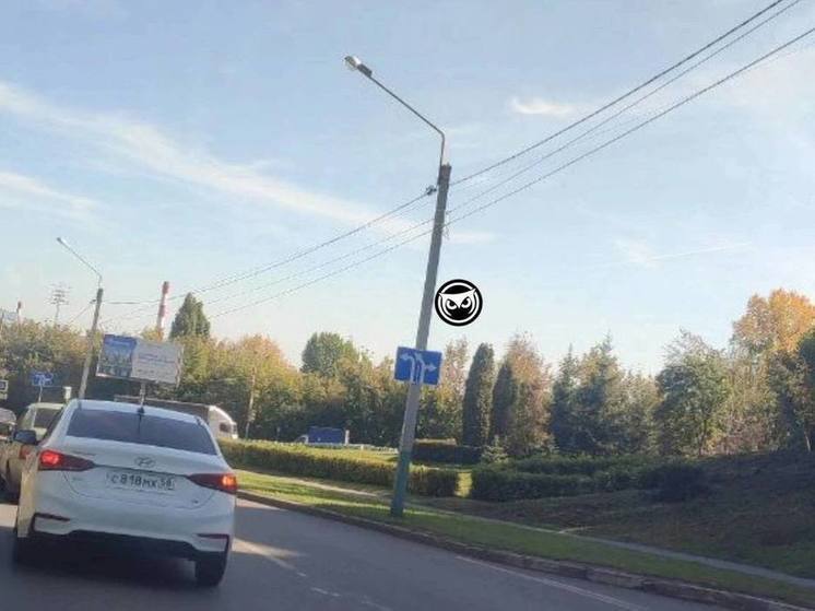 Пензенцам напомнили правила проезда по улице Вишневой