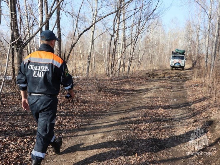 Сбор ягод едва не закончился трагедией для жителей ЕАО