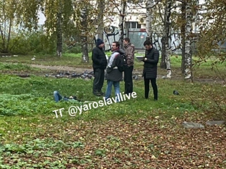 В Ярославском парке найден труп молодого человека